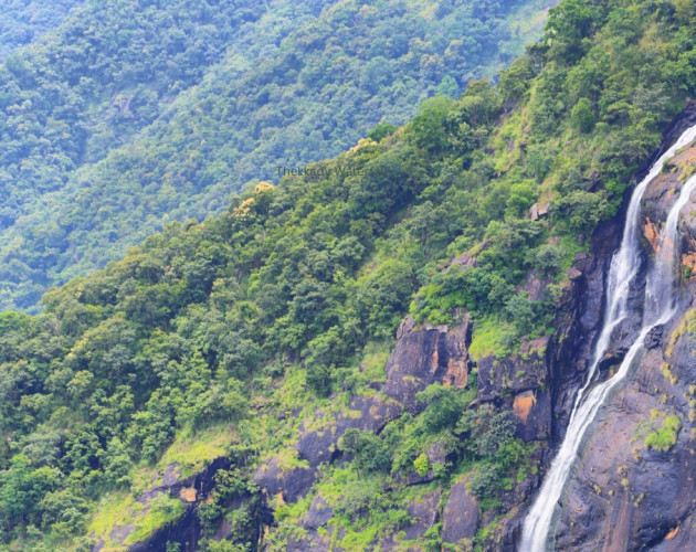 A 5-Day Journey Through Nature and Culture of Kerala